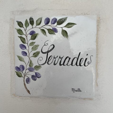 SERRADEI_AppSerradei001
